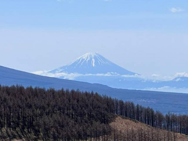 霧ヶ峰ビーナスから望む富士山