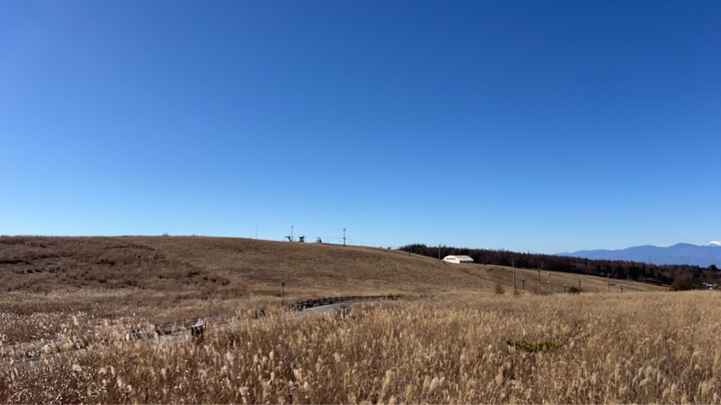 霧ヶ峰 ビーナスライン ビーナスライン食事 ビーナスライン休憩 ビーナスライン景色 霧ヶ峰食事 霧ヶ峰　蕎麦 霧ヶ峰ソフトクリーム 霧ヶ峰天気