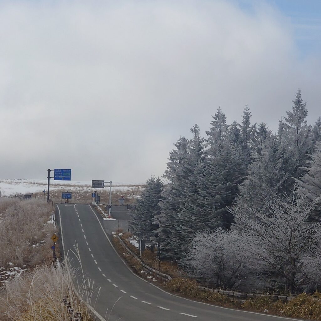 霧ヶ峰　 ビーナスライン ソフトクリーム 霧ヶ峰ビーナス 霧ヶ峰食事 霧ヶ峰　お土産 霧ヶ峰　オープン ビーナスライン開通