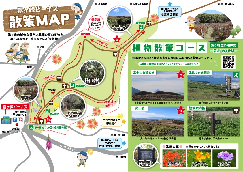 霧ヶ峰自然研究路の植物散策コース全容