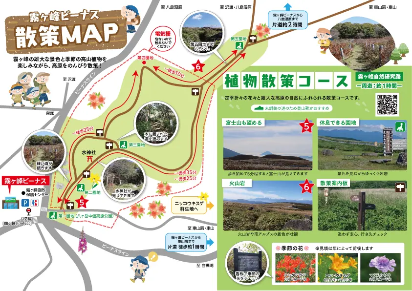 霧ヶ峰自然研究路の植物散策コース全容