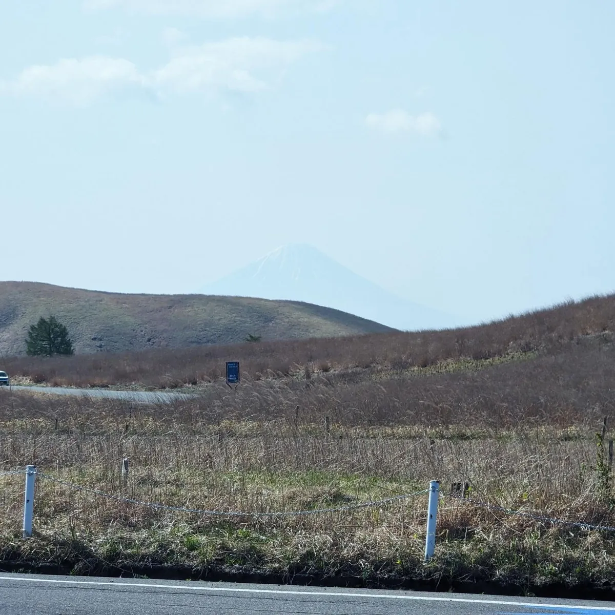 秋の霧ヶ峰高原のススキ野原と富士山
